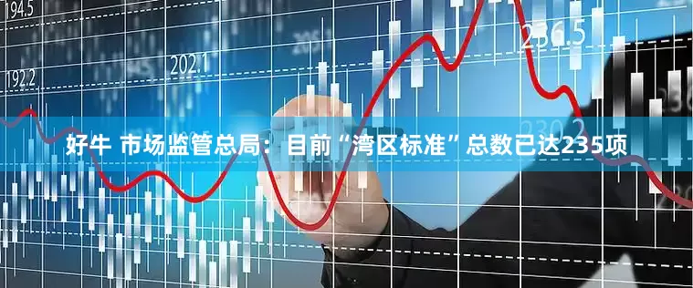 好牛 市场监管总局：目前“湾区标准”总数已达235项