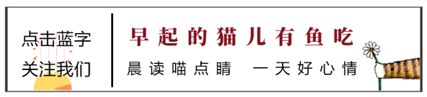 新宝策略 昨晚，利空出尽。。